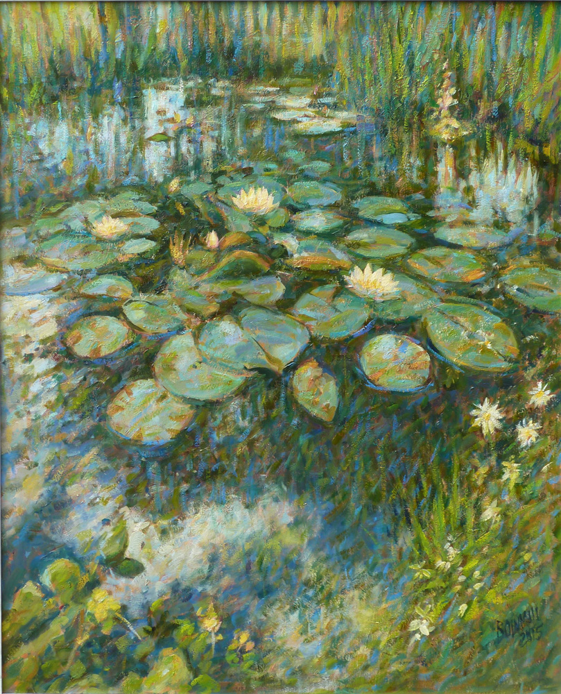 Lily pond 2014